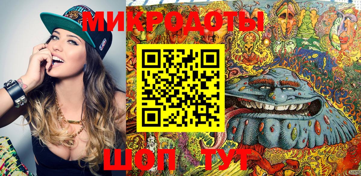 Галлюциногенные грибы Psilocybe Якутск