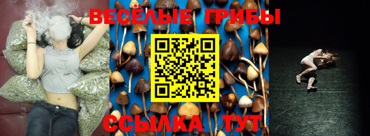 Галлюциногенные грибы прущие грибы  как найти   Якутск  Вход с VPN 